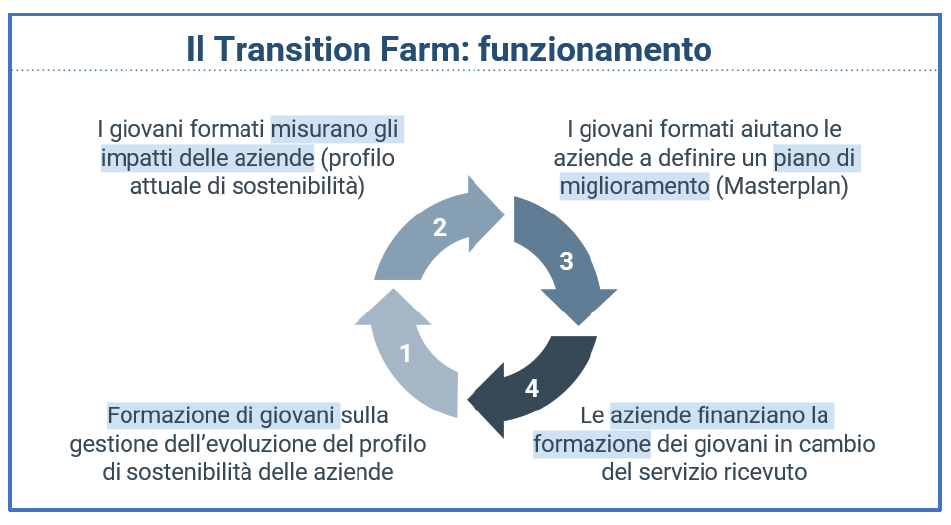 Schema funzionamento Transition Farm