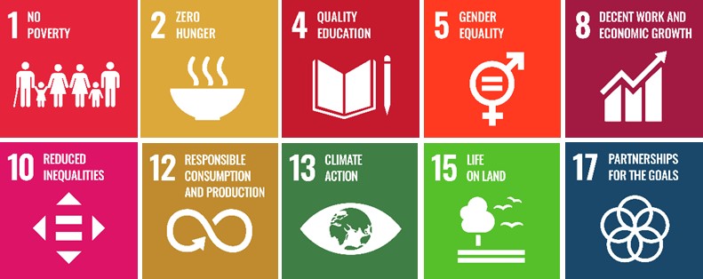 treedom-10sdgs